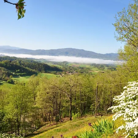 Cosy House In With Shared Pool *