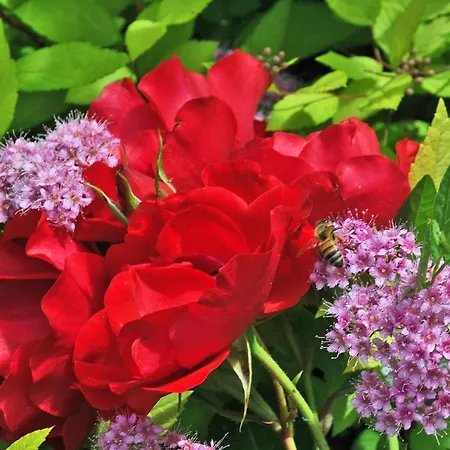 Cosy House In With Shared Pool * Gattaia