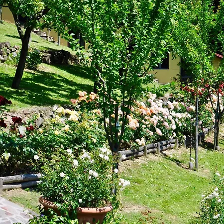 Casa de Férias Cosy House In With Shared Pool Gattaia